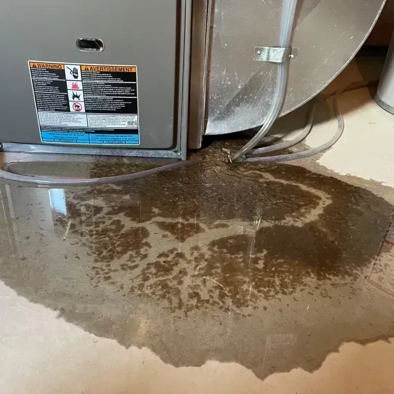 Appliance Leak Cleanup in Oak Brook, IL